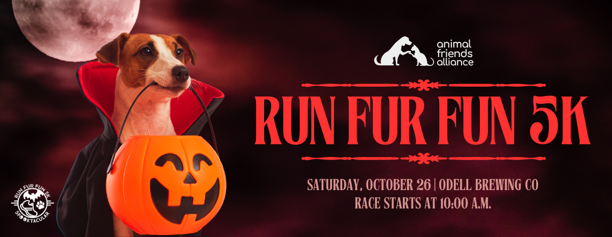 Run Fur Fun 2024